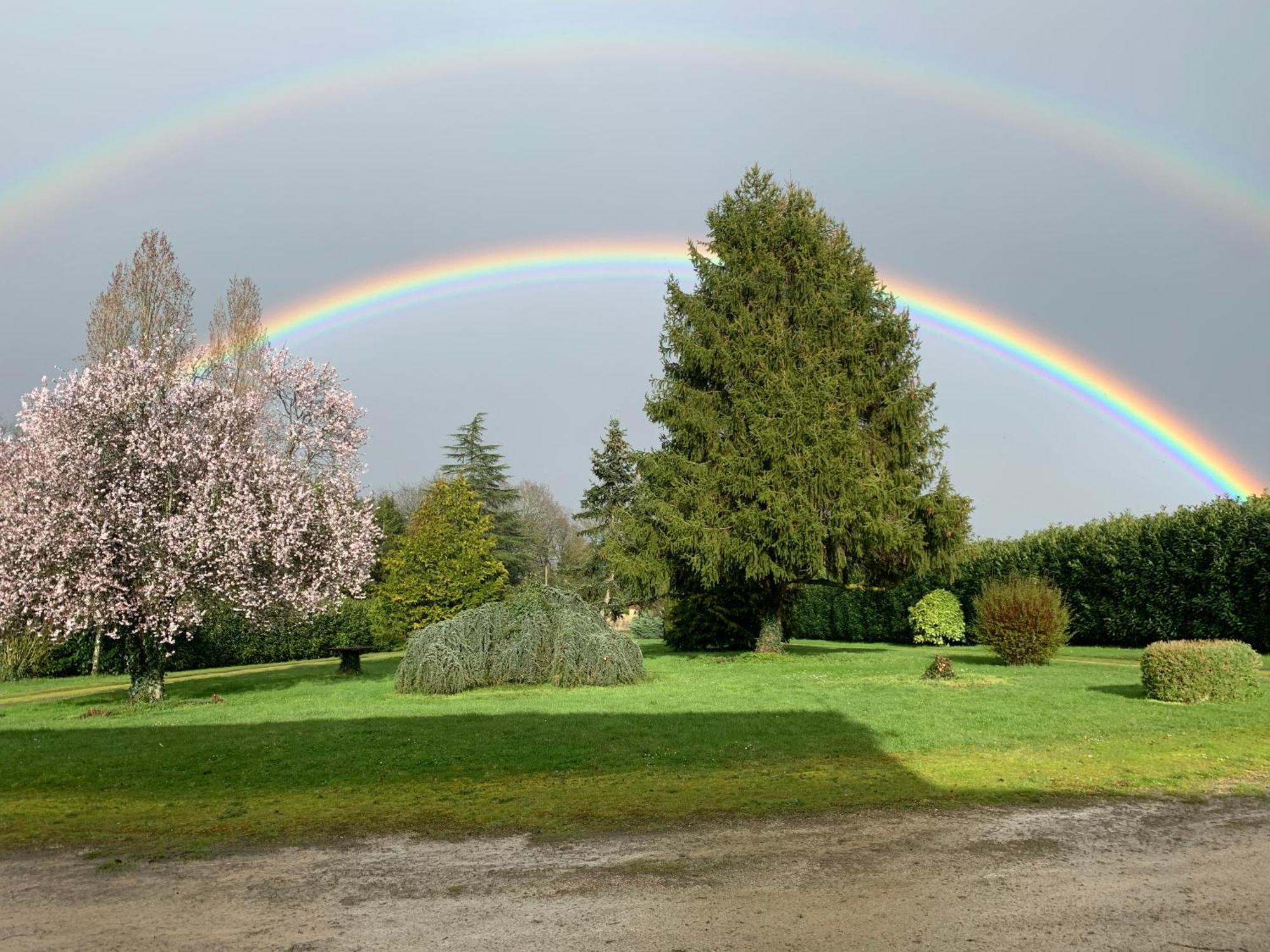 Le Bois D'Amour Gite Et Chambres Charroux  Buitenkant foto